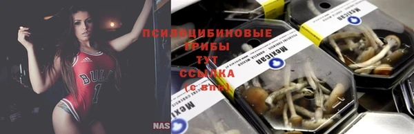 твердый Гусиноозёрск