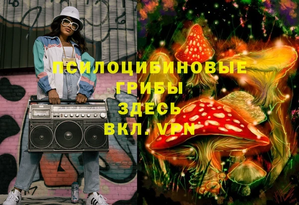 не бодяженный Гусь-Хрустальный