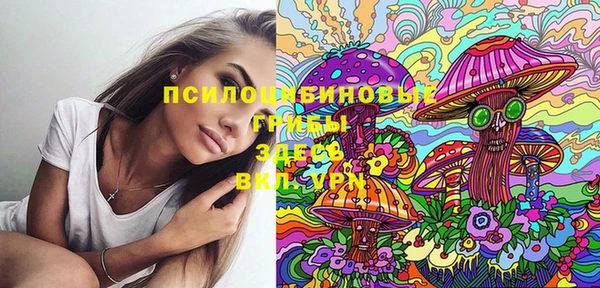 твердый Гусиноозёрск