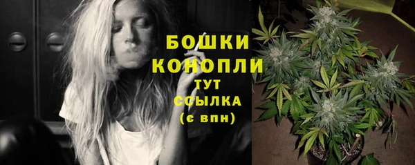 твердый Гусиноозёрск