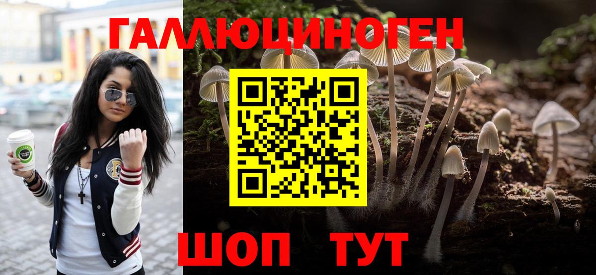 Тобольск  Псилоцибиновые грибы ЛСД  Вход с VPN 